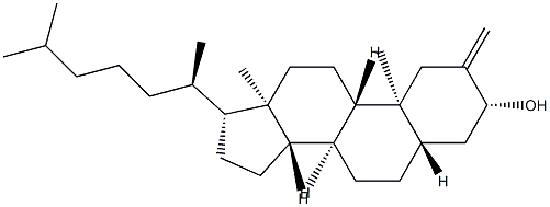 22599-96-8 2-Methylene-5α-cholestan-3β-ol