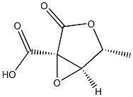 D-Ribonic acid, 2,3-anhydro-2-C-carboxy-5-deoxy-, 1,4-lactone (9CI) Structure