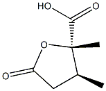 D-erythro-Pentaric acid, 2,3-dideoxy-3-methyl-4-C-methyl-, 1,4-lactone (9CI) Struktur