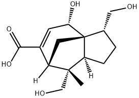 [3R,(+)]-2,3,4,7,8,8aβ-ヘキサヒドロ-4β-ヒドロキシ-3,8β-ビス(ヒドロキシメチル)-8-メチル-1H-3aα,7α-メタノアズレン-6-カルボン酸 化学構造式