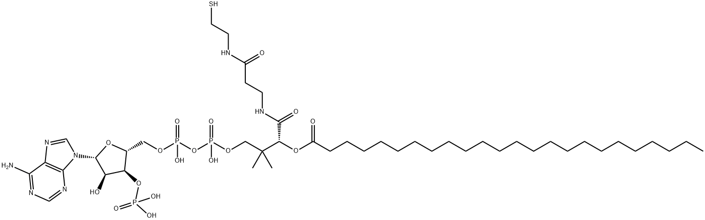 lignoceroyl-coenzyme A|