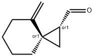 Spiro[2.5]octane-1-carboxaldehyde, 4-methylene-, (1R,3R)-rel- (9CI) 结构式