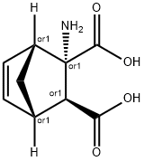 Bicyclo[2.2.1]hept-5-ene-2,3-dicarboxylic acid, 2-amino-, (1R,2S,3S,4S)-rel- Struktur