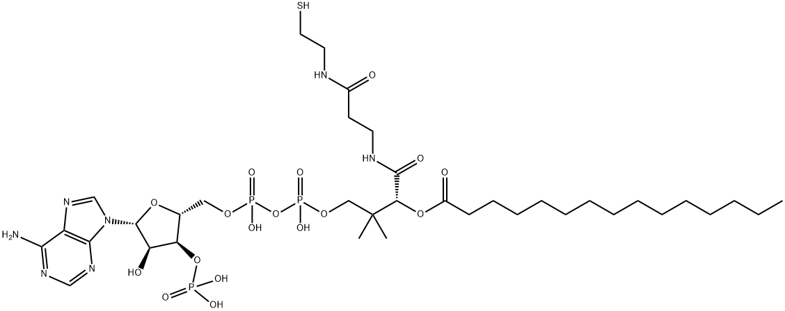 十五烷酰辅酶A(铵盐), 24870-39-1, 结构式