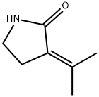 2-Pyrrolidinone,3-(1-methylethylidene)-(9CI),261379-19-5,结构式