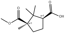 monomethyl camphorate 化学構造式