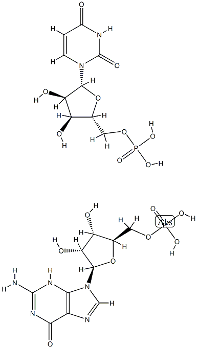poly(U-G) Structure