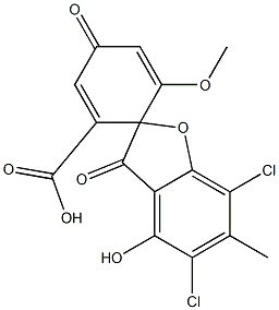 Erdin Structure