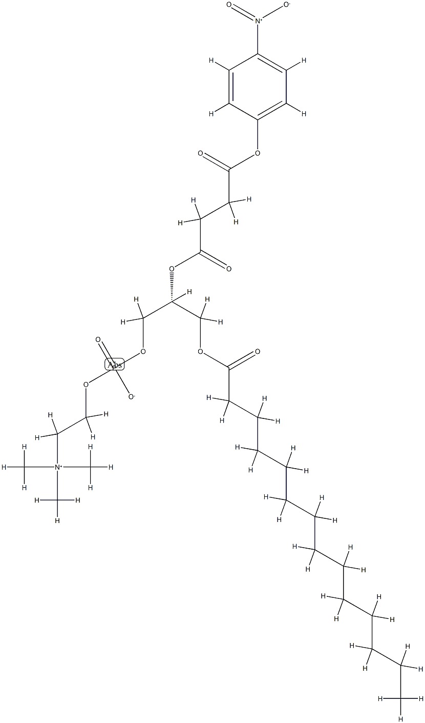 1-Myristoyl-2-(4-nitrophenylsuccinyl)-sn-glycero-3-phosphocholine Struktur