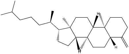 4-Methylene-5α-cholestane Structure