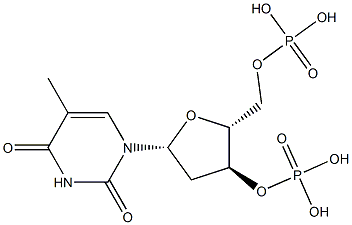 thymidine 3',5'-diphosphate|