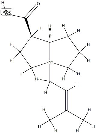 (1R,7aβ)-1α-カルボキシラトヘキサヒドロ-4-(3-メチル-2-ブテニル)-1H-ピロリザイン-4-イウム 化学構造式