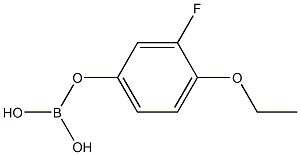 Phenol, 4-ethoxy-3-fluoro-, monoester with boric acid (H3BO3) (9CI)|