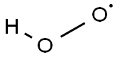 perhydroxyl radical 结构式