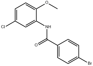 331240-28-9 4-bromo-N-(5-chloro-2-methoxyphenyl)benzamide