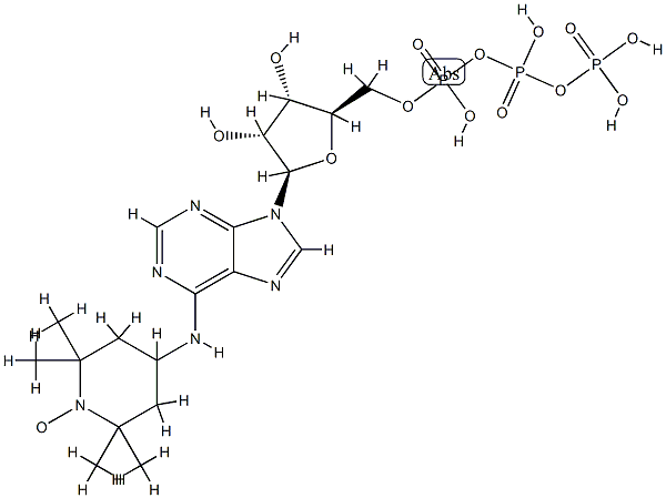 6-(2,2,6,6-tetramethylpiperidine-1-oxyl)-adenosine triphosphate|