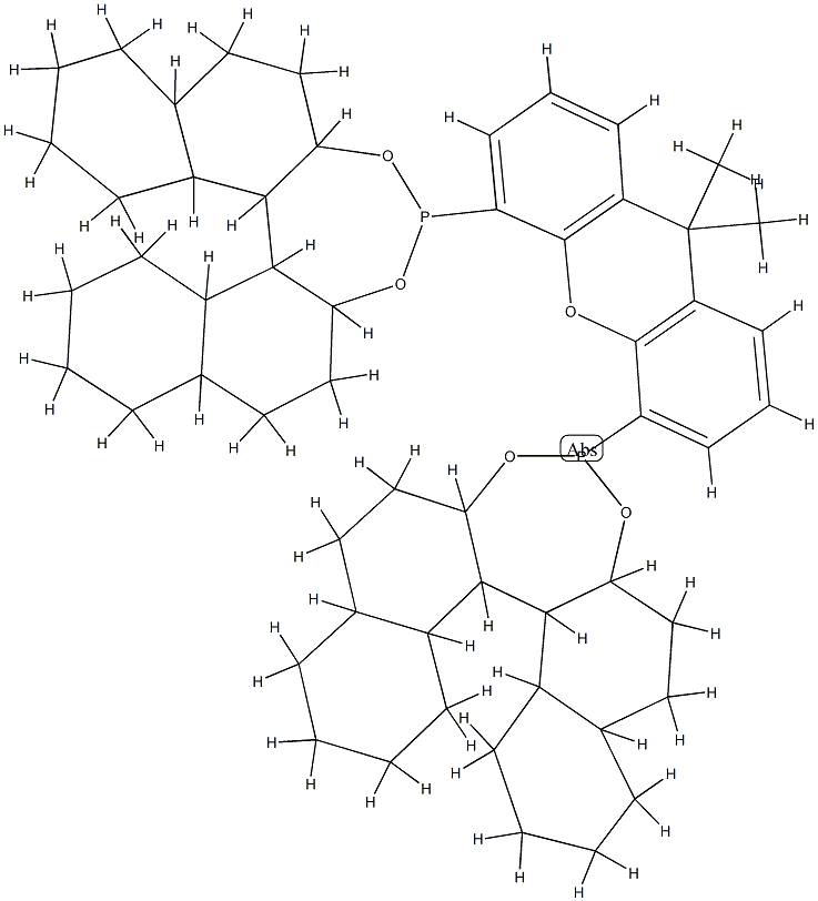 (11BR,11′BR)-4,4′-(9,9-二甲基-9H-氧杂蒽-4,5-二基)双-二萘并[2,1-D:1′,2′-F][1,3,2]二噁磷杂庚英,349114-63-2,结构式