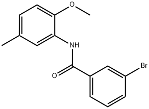 3-bromo-N-(2-methoxy-5-methylphenyl)benzamide 化学構造式
