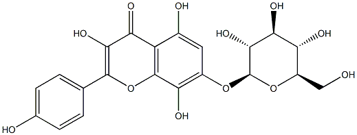 7-(β-D-グルコピラノシルオキシ)-3,5,8-トリヒドロキシ-2-(4-ヒドロキシフェニル)-4H-1-ベンゾピラン-4-オン 化学構造式