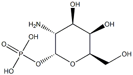 2-アミノ-2-デオキシ-α-D-ガラクトピラノース1-りん酸 化学構造式