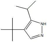 1H-Pyrazole,4-(1,1-dimethylethyl)-3-(1-methylethyl)-(9CI) Struktur