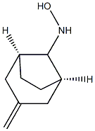 Bicyclo[3.2.1]octan-8-amine, N-hydroxy-3-methylene-, (8-syn)- (9CI) Structure