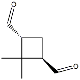 1,3-사이클로부탄디카르복스알데하이드,2,2-디메틸-,(1R,3R)-rel-(9CI)