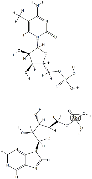 Poly (dI-dme(5)C) Struktur
