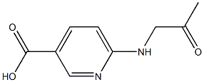 3-Pyridinecarboxylicacid,6-[(2-oxopropyl)amino]-(9CI) Struktur