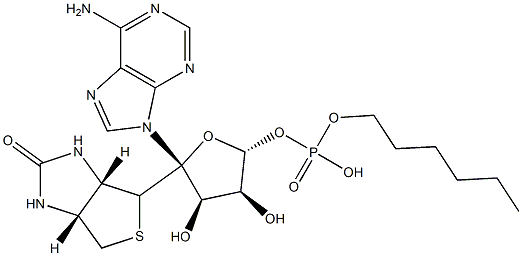 1,3-Benzenedicarboxylic acid, polymer with (E)-2-butenedioic acid, 2,2-dimethyl-1,3-propanediol and 1,2-propanediol Struktur
