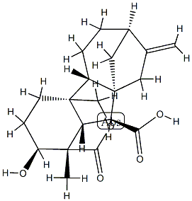 1α,4aα-(Carbonyloxymethylene)-2β-hydroxy-1β-methyl-8-methylenegibbane-10β-carboxylic acid|