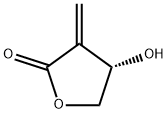 tulipalin B Structure