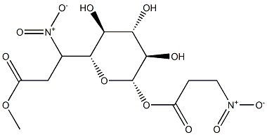 Cibarian Structure