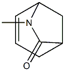 6-Azabicyclo[3.2.1]oct-3-en-7-one,6-methyl-(9CI)|