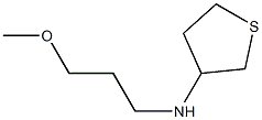 3-Thiophenamine,tetrahydro-N-(3-methoxypropyl)-(9CI) Structure