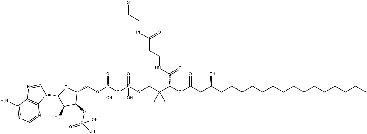 3-hydroxyoctadecanoyl-coenzyme A Struktur