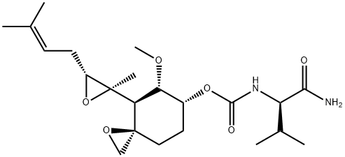 PPI-2458 Struktur