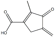 1-Cyclopentene-1-carboxylicacid,2-methyl-4-methylene-3-oxo-(9CI) Structure