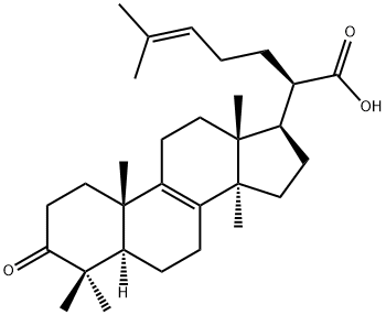 3-Oxo-5α-lanosta-8,24-diene-21-oic acid|