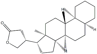 5β-Cardanolide|