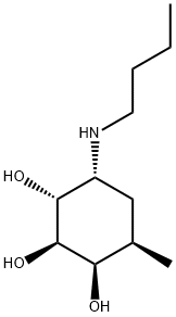 allo-Inositol, 6-(butylamino)-1,2,6-trideoxy-2-methyl- (9CI)|