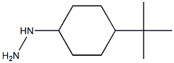 1-(4-tert-butylcyclohexyl)hydrazine Structure