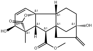 1-メチル-2β,7-ジヒドロキシ-11-メチレン-13-オキソ-1,2,5,6,7,8,9,9aβ-オクタヒドロ-4bβH-4aα,1α-(エポキシメタノ)-7β,8aβ-エタノ-4aH-フルオレン-9β-カルボン酸メチル 化学構造式