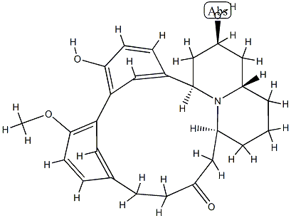 7'-ノル-8α-ヒドロキシリトランカン-12-オン 化学構造式