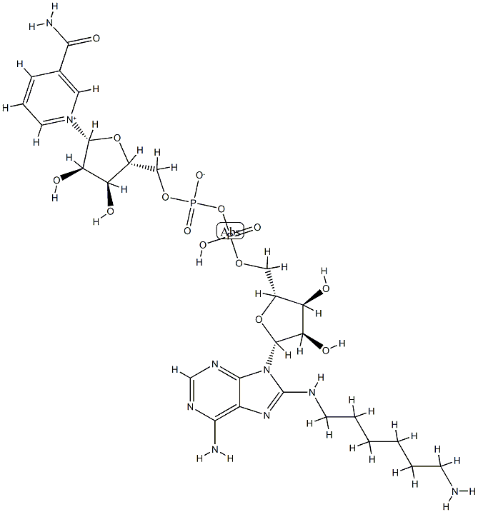 52977-33-0 8-(6-aminohexyl)aminonicotinamide adenine dinucleotide