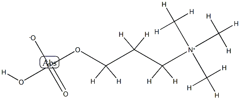 phosphorylhomocholine 化学構造式