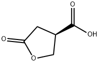 paraconic acid|伊蘋酸-Γ-內酯