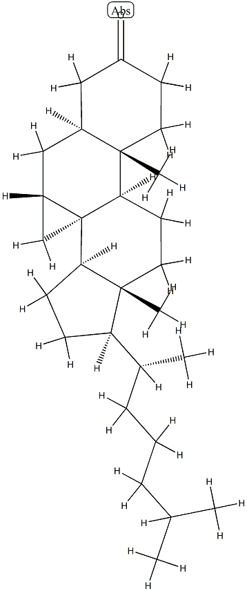 (8α)-3',7β-Dihydrocyclopropa[7,8]-5α-cholestan-3-one,53755-19-4,结构式