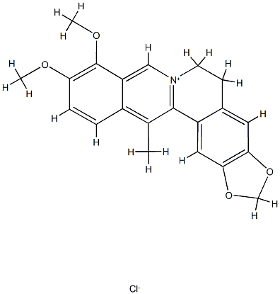 5,6-Dihydro-2,3-(methylenedioxy)-9,10-dimethoxy-13-methyldibenzo[a,g]quinolizinium