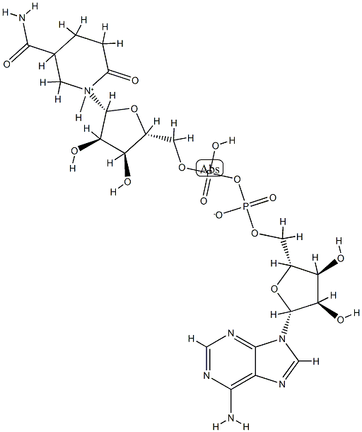 6-hydroxy-1,4,5,6-tetrahydronicotinamide adenine dinucleotide Structure